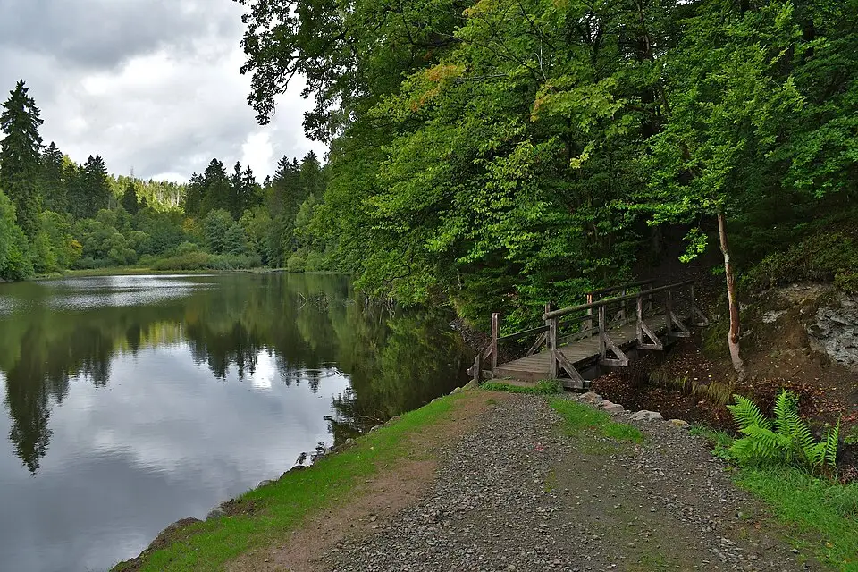 Authentischer Reisemoment in Harz – passend zu Naturreise Harz mit dem Bus – Reisecheck