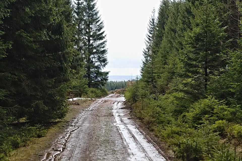 Authentischer Reisemoment in Harz – passend zu Adventsreise Harz mit dem Bus – Tipps zur Auswahl