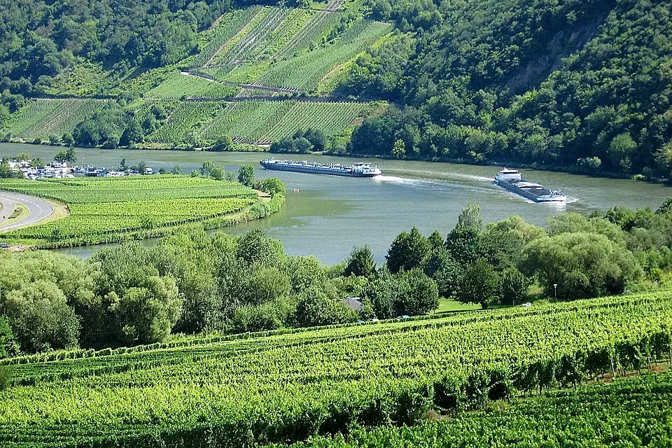 Authentischer Reisemoment in Mosel – passend zu Adventsreise Mosel mit dem Bus – ehrlich eingeordnet
